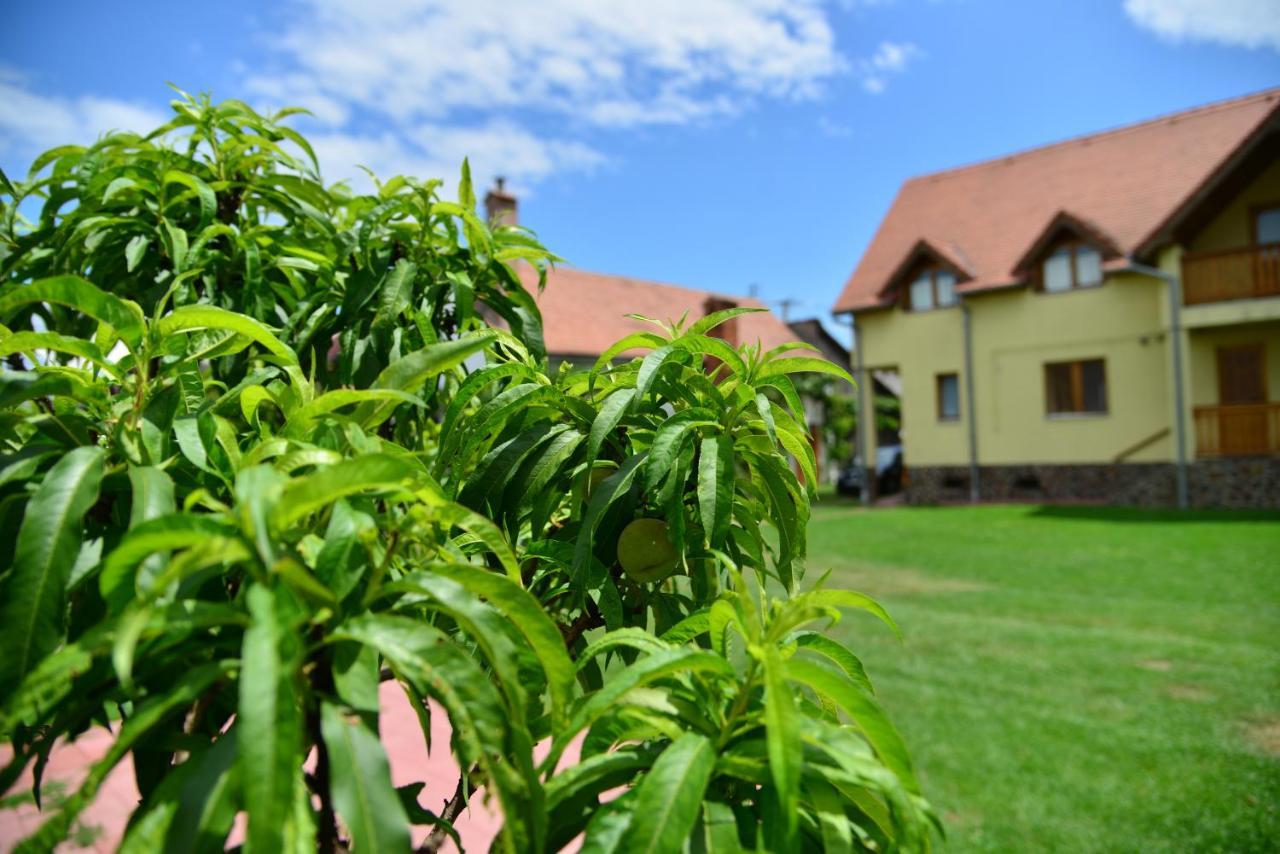 Hotel Casa Rudi & Ella Sălişte Exterior foto