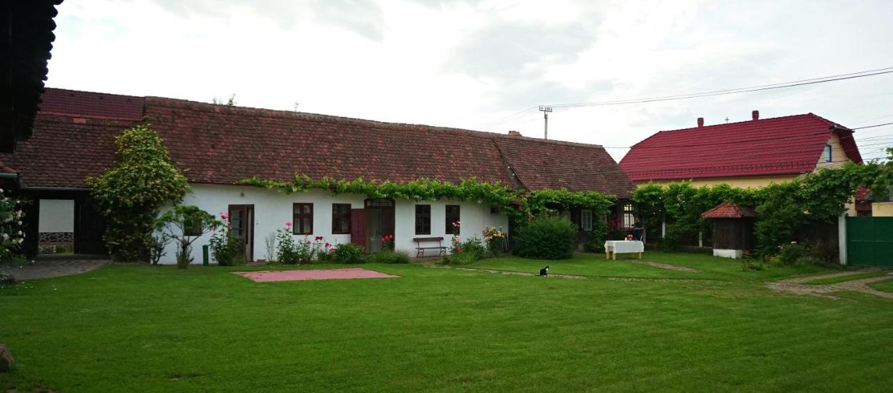 Hotel Casa Rudi & Ella Sălişte Exterior foto