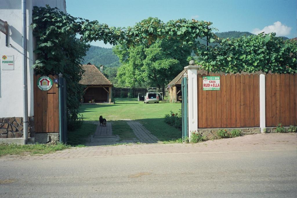 Hotel Casa Rudi & Ella Sălişte Exterior foto